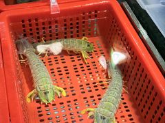-79号渔船海鲜饭店(宝安店)