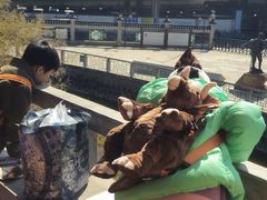 -广州七星岗古海岸遗址科学公园