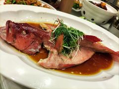 -湖北三五醇酒店·35年新楚菜