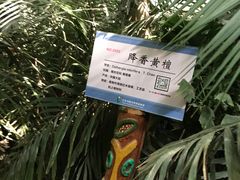 -呀路古热带植物园