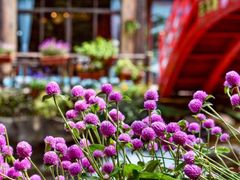 -英西峰林·洞天仙境