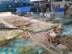 -87号烧烤海鲜·大排档(金沙滩店)