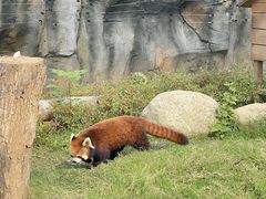 -武汉动物园