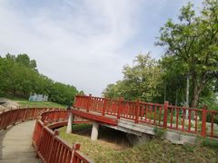 -御林古桑园