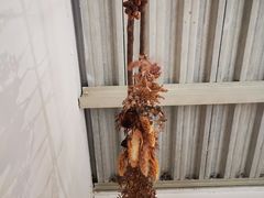 -灶咖KITCHEN
