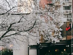 -玛格萝妮比萨屋(四平店)