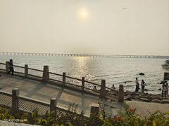 -宝安西湾红树林湿地公园