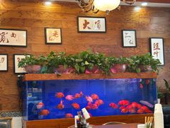 -丝路传奇·中国拉面航母店(北医三院店)