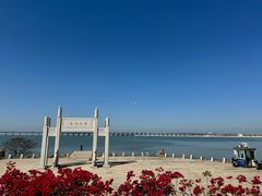 -宝安西湾红树林湿地公园