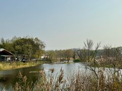 -西湖风景区-江洋畈生态公园
