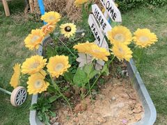 -HERRE·FARM 赫尔露营农场·团建聚会包场