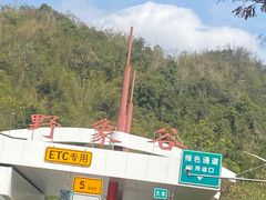 -野象谷景区