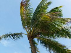 -Let's Relax Spa(Phuket 3rd Street)