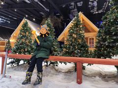 -宁波冰雪大世界(北仑区)