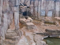 -西安曲江海洋极地公园