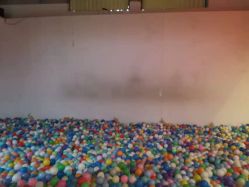 -恐龙探索乐园(磁器口店)