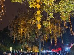 -大雁塔北广场音乐喷泉