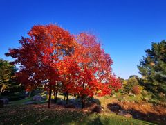 -北京雁栖湖国际会展中心