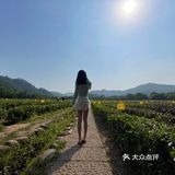龙井茶园太好拍了