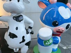 -心乐生活新鲜屋(星海广场店)