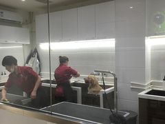 -宠物家(双井店)