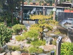 -蘇河湾·新鲁菜·泰山宴(泰山店)