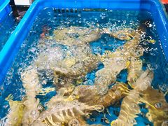 -盒马鲜生(皇庭广场店)