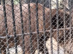 -海南热带野生动植物园