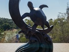 -广东惠东海龟国家级自然保护区