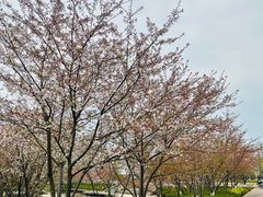 -诺贝尔湖公园