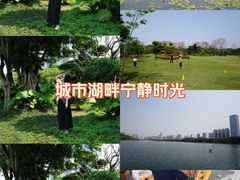 -南宁南湖公园