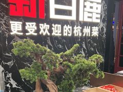 -新白鹿餐厅(百联中环店)