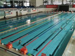 -南山文体中心-游泳馆