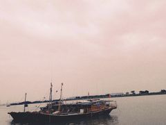 -大湾区中央湿地公园-十九涌