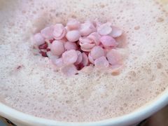 -星巴克(北京望京店)