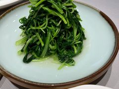 清炒鸡毛菜-屋里厢上海菜馆