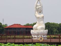-荷塘月色湿地公园·向阳花洲