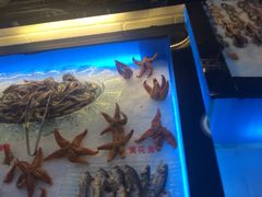 -璐法式铁板烧(滏东总店)