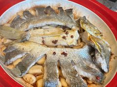 砂锅焗黄花鱼-1937青岛老味道·海肠捞饭·青岛菜(大鲍岛栈桥店)