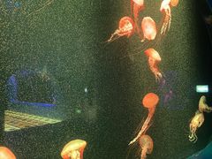 -欢乐海岸海洋奇梦馆