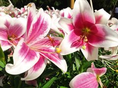 -长春公园(普阳街道)