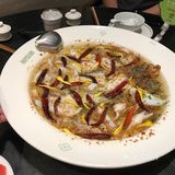 鱼鱼鱼～