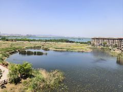 -南湖国家城市湿地公园
