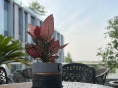 -至尊鲨鱼·原烹海鲜·新浙菜(拱宸桥店)