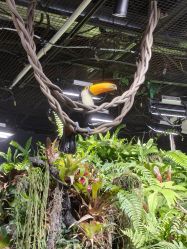 -Zoolung Zoolung动物主题公园(海信广场店)