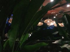 -植物园哈利亚餐厅