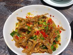 -壹盏灯(惠农店)