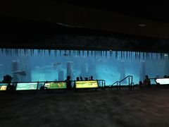 -河川生态园
