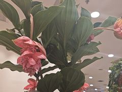 -第六季自助餐厅(北太平庄店)