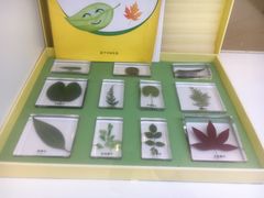 -斯坦星球青少儿编程机器人科学积木拼搭思维专注力科创竞赛规划(武汉凯德西城学习中心)